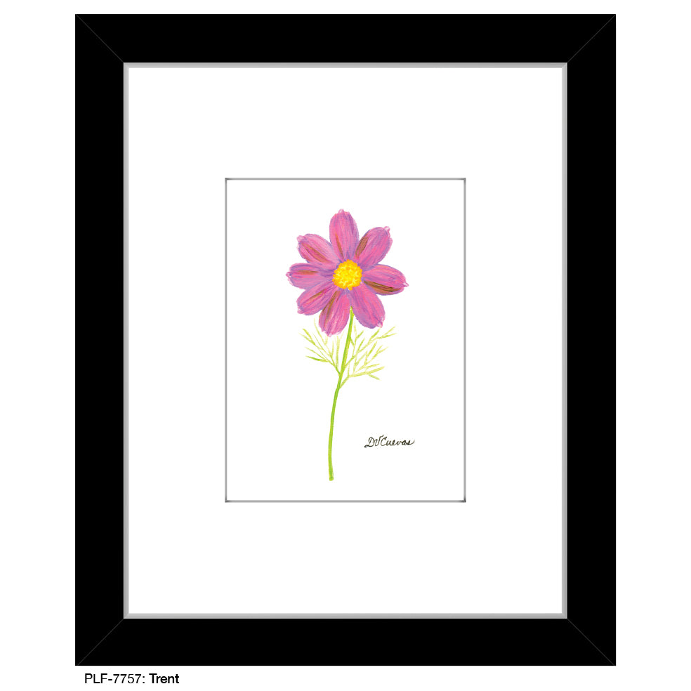 Trent, Print (#7757) - Printed Canvas