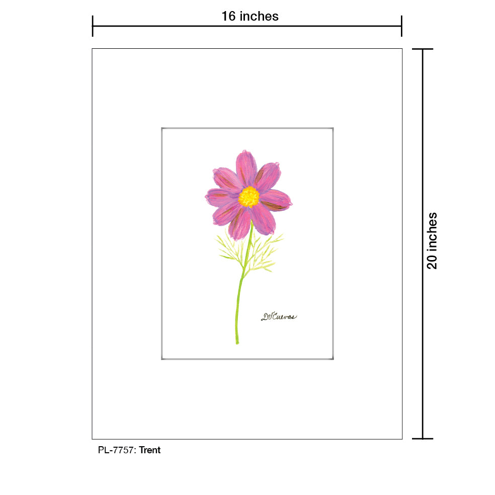 Trent, Print (#7757) - Printed Canvas