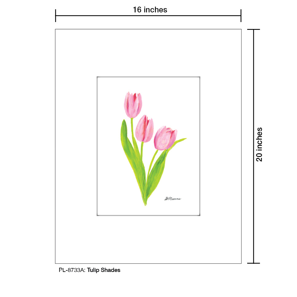 Tulip Shades, Print (#8733A), Printe Matted, www.printedcanvas.com