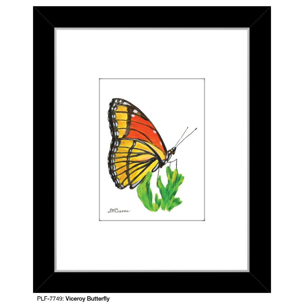 Viceroy Butterfly, Print (#7749) - Printed Canvas