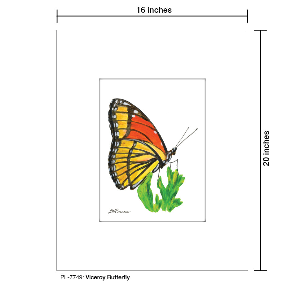 Viceroy Butterfly, Print (#7749B), Printe Matted, www.printedcanvas.com