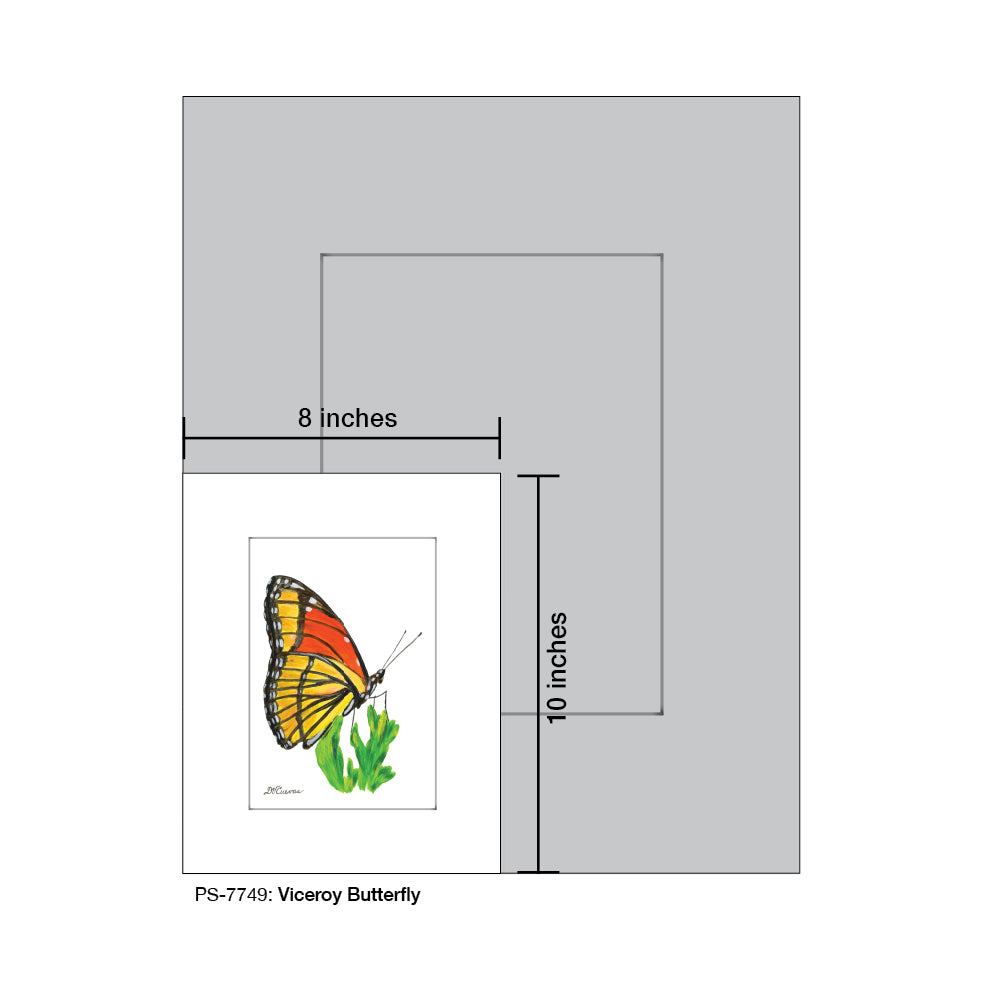 Viceroy Butterfly, Print (#7749B), Print Matted, www.printedcanvas.com