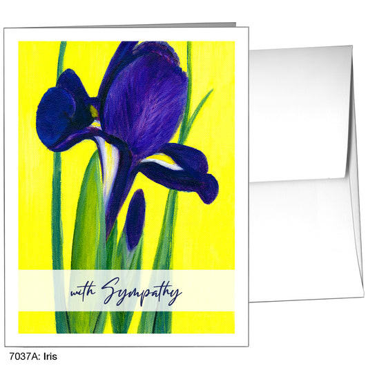 Iris, Greeting Card (7037A)