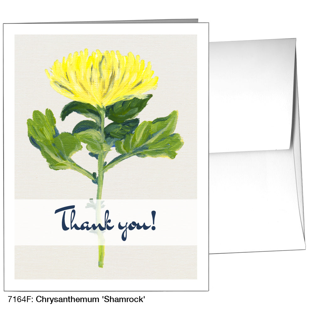 Chrysanthemum 'Shamrock', Greeting Card (7164F)
