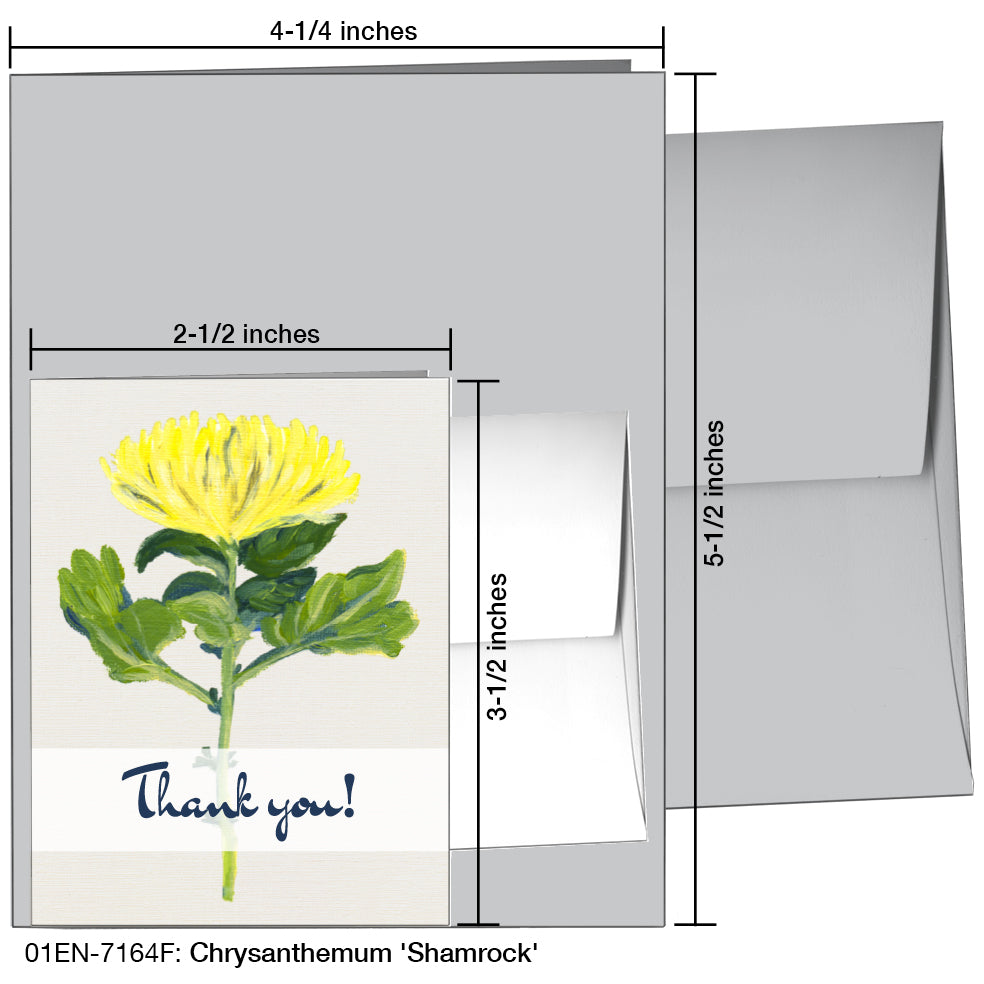 Chrysanthemum 'Shamrock', Greeting Card (7164F)