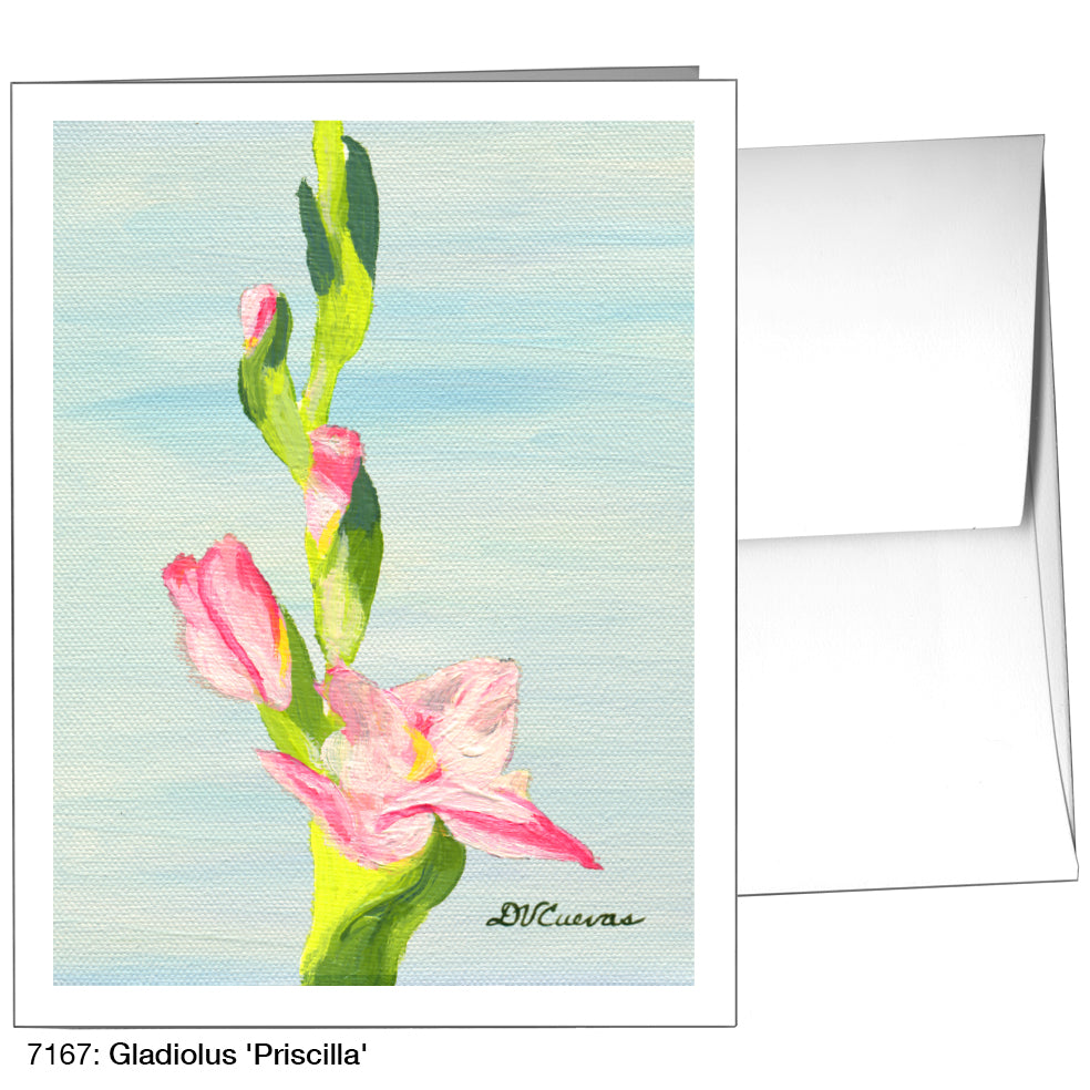 Gladiolus 'Priscilla', Greeting Card (7167)
