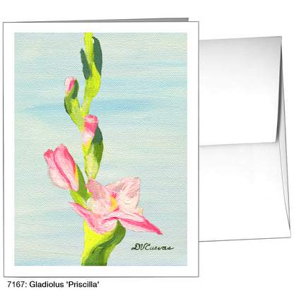Gladiolus 'Priscilla', Greeting Card (7167)