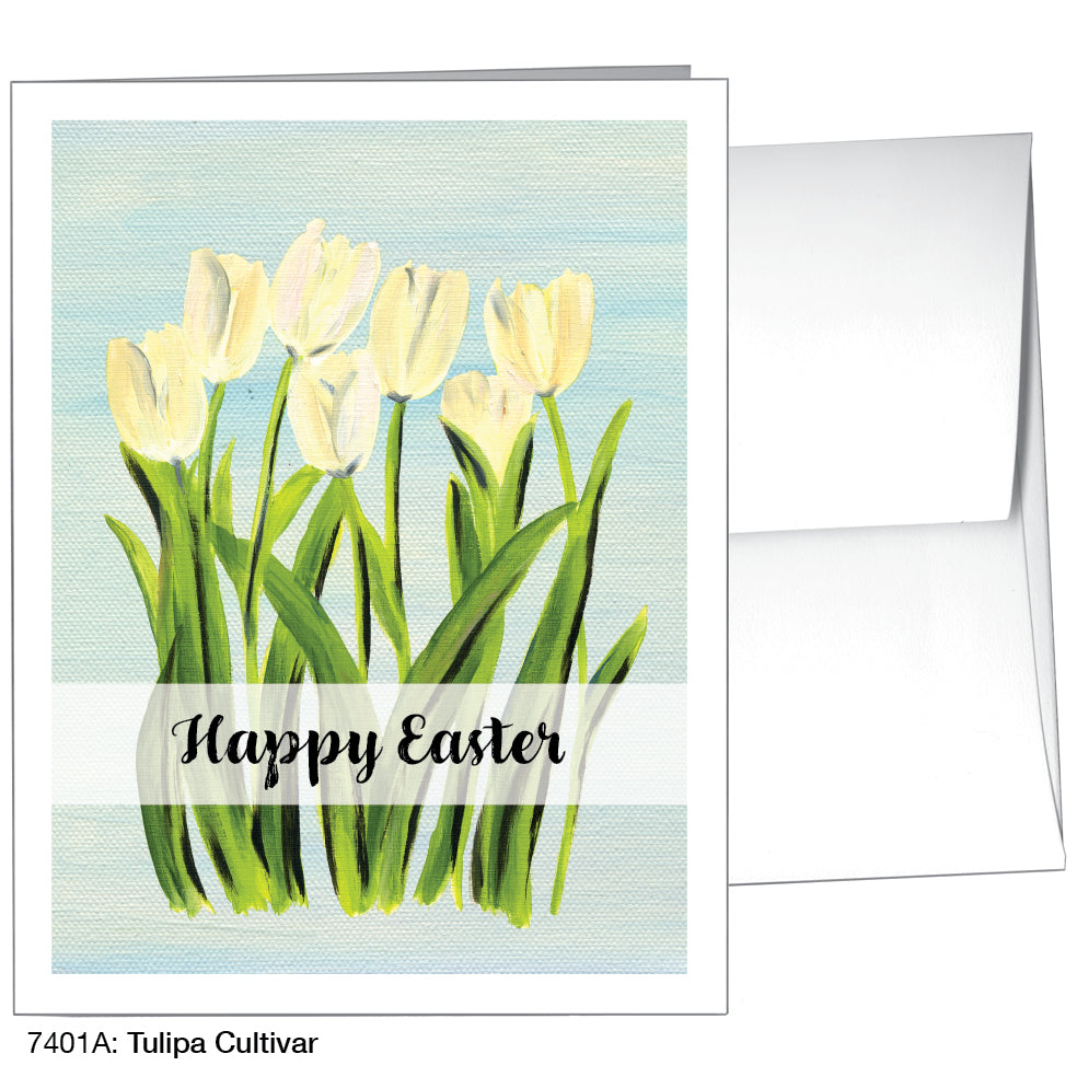 Tulipa Cultivar, Greeting Card (7401A)