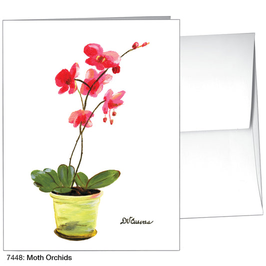 Moth Orchids, Greeting Card (7448)