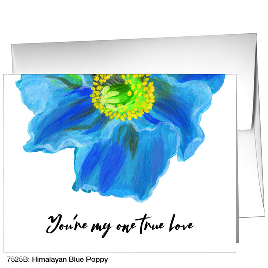 Himalayan Blue Poppy, Greeting Card (7525B)