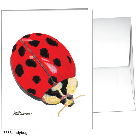 Ladybug, Greeting Card (7583)