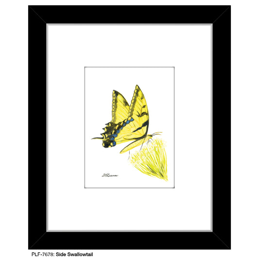 Side Swallowtail, Print (#7678)