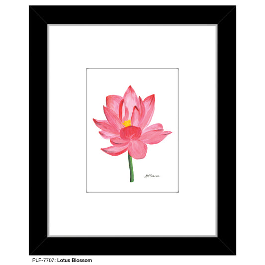 Lotus Blossom, Print (#7707)