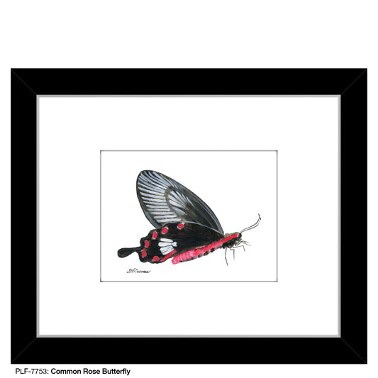 Common Rose Butterfly, Print (#7753)