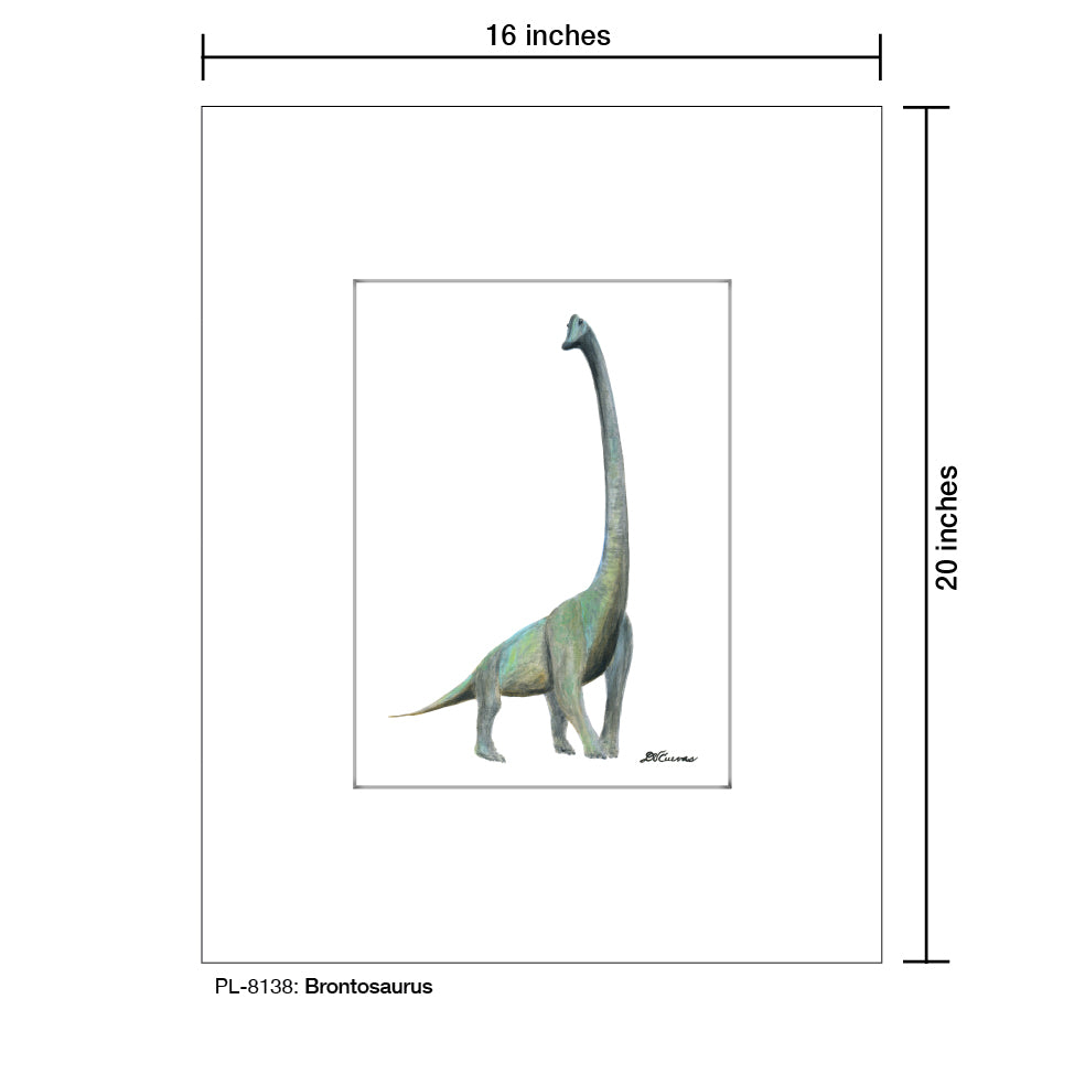 Brontosaurus, Print (#8138)