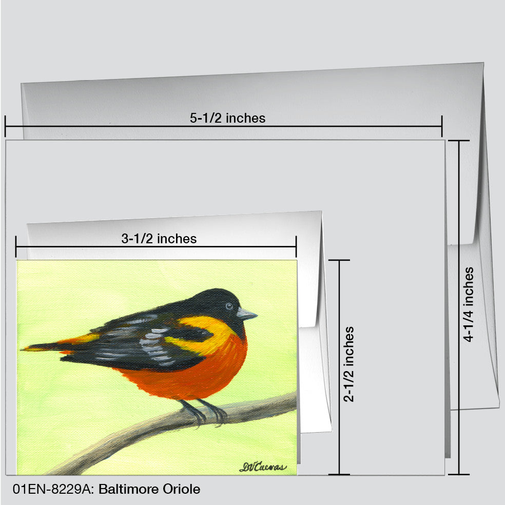 Baltimore Oriole, Greeting Card (8229A)