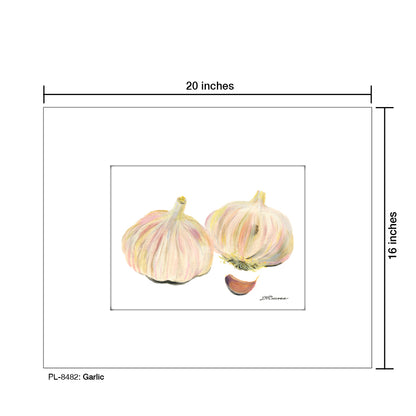 Garlic, Print (#8482)