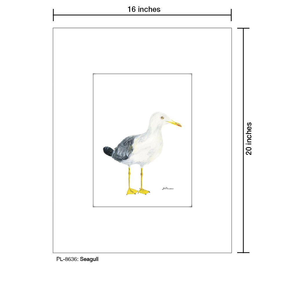 Seagull, Print (#8636)