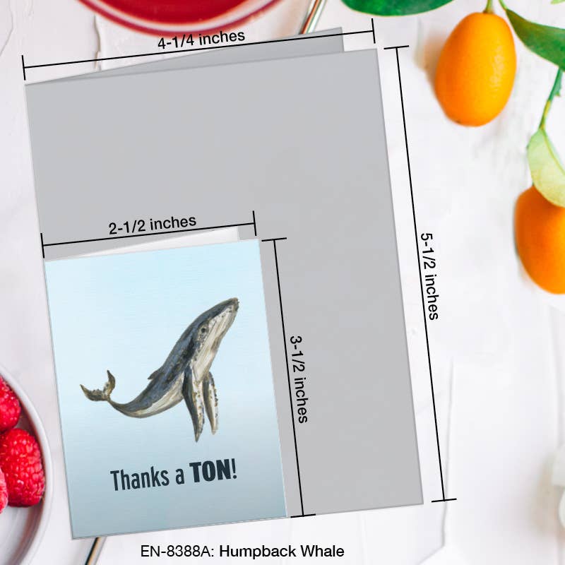 Humpback Whale, Greeting Card (8388A), Enclosure Card, www.printedcanvas.com