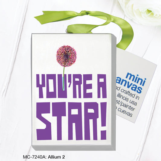 Allium 2, Mini Canvas (MC-7240A), Front, printedcanvas.com