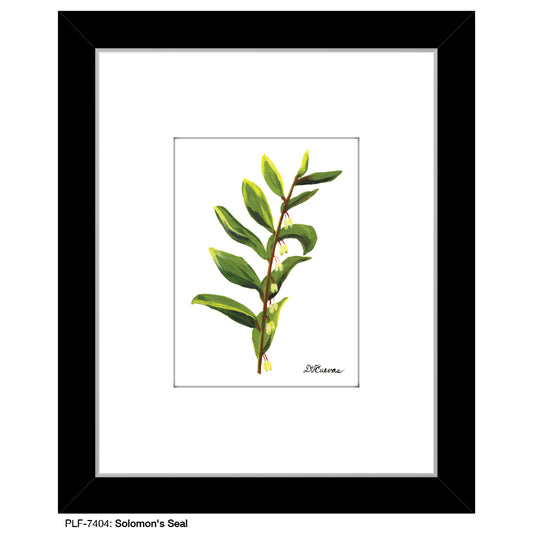 Solomon's Seal, Print (#7404) - Printed Canvas