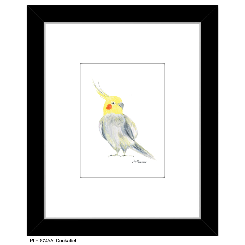 Cockatiel, Print (#8745A), Print Matted, www.printedcanvas.com