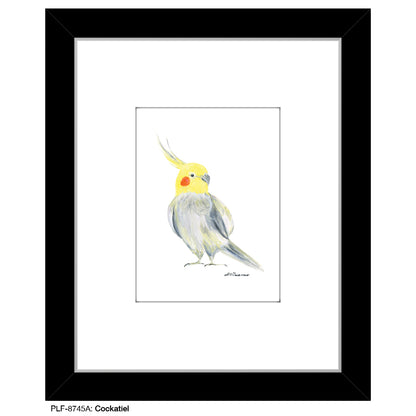 Cockatiel, Print (#8745A), Print Matted, www.printedcanvas.com