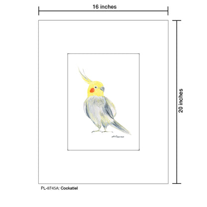 Cockatiel, Print (#8745A), Printe Matted, www.printedcanvas.com