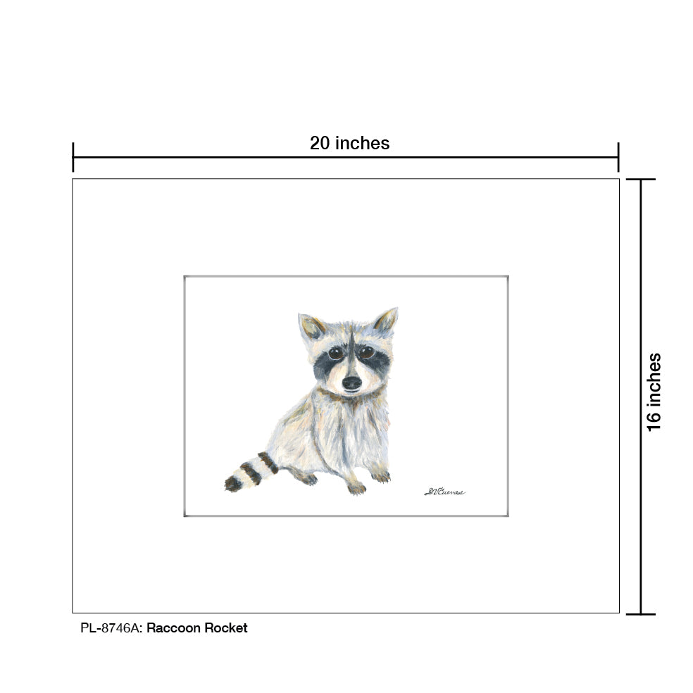 Raccoon Rocket, Print (#8746A), Printe Matted, www.printedcanvas.com