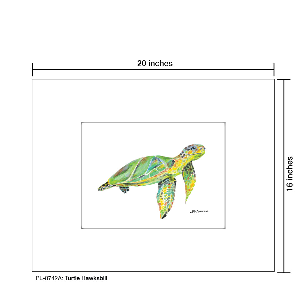 Turtle Hawksbill, Print (#8742A), Printe Matted, www.printedcanvas.com