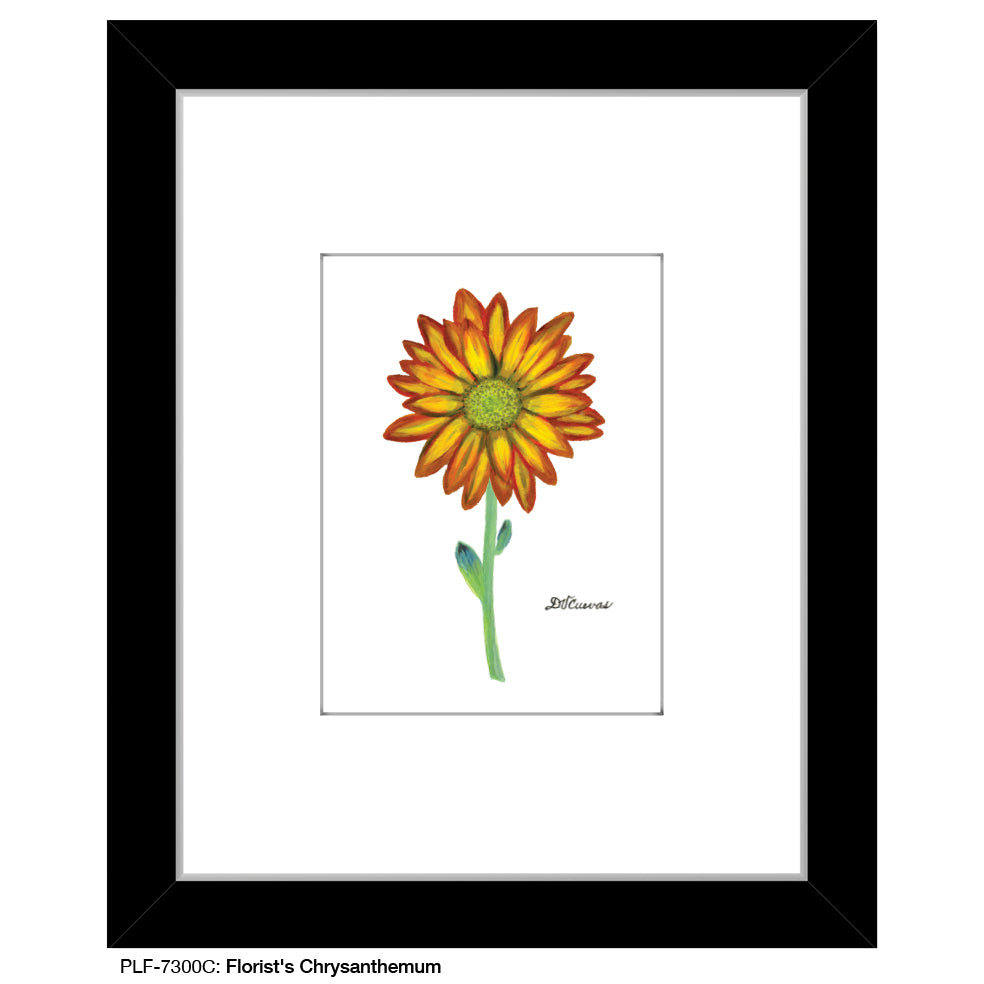Florist's Chrysanthemum, Print (#7300C), Print Matted, www.printedcanvas.com