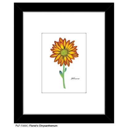 Florist's Chrysanthemum, Print (#7300C), Print Matted, www.printedcanvas.com