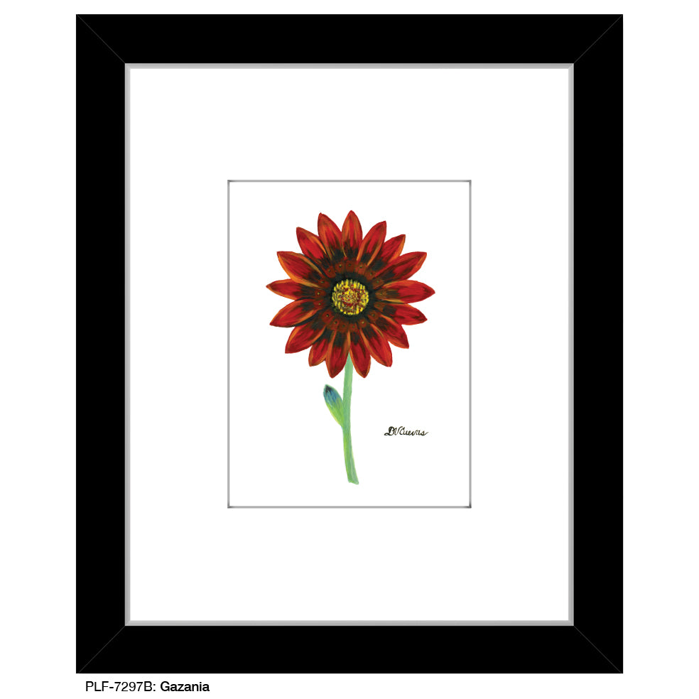 Gazania, Print (#7297B), Print Matted, www.printedcanvas.com