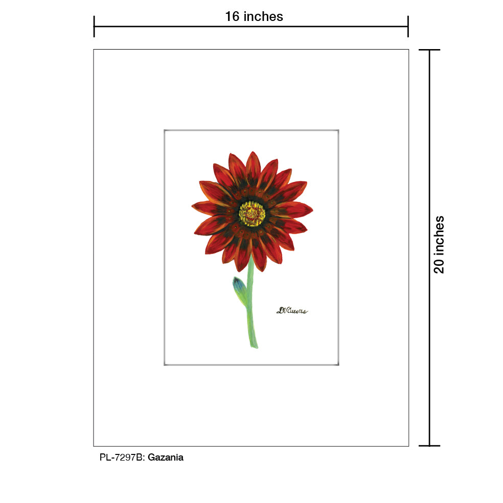 Gazania, Print (#7297B), Printe Matted, www.printedcanvas.com