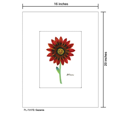 Gazania, Print (#7297B), Printe Matted, www.printedcanvas.com