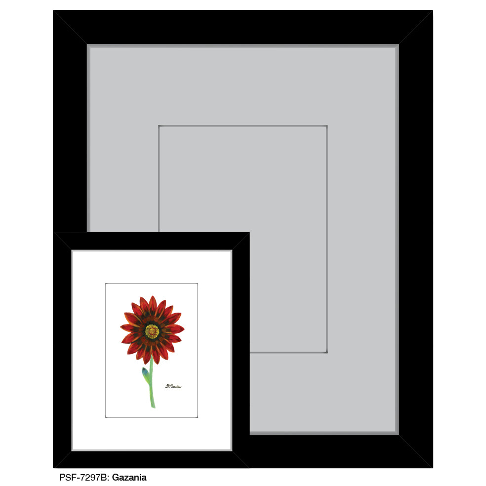 Gazania, Print (#7297B), Print Matted, www.printedcanvas.com