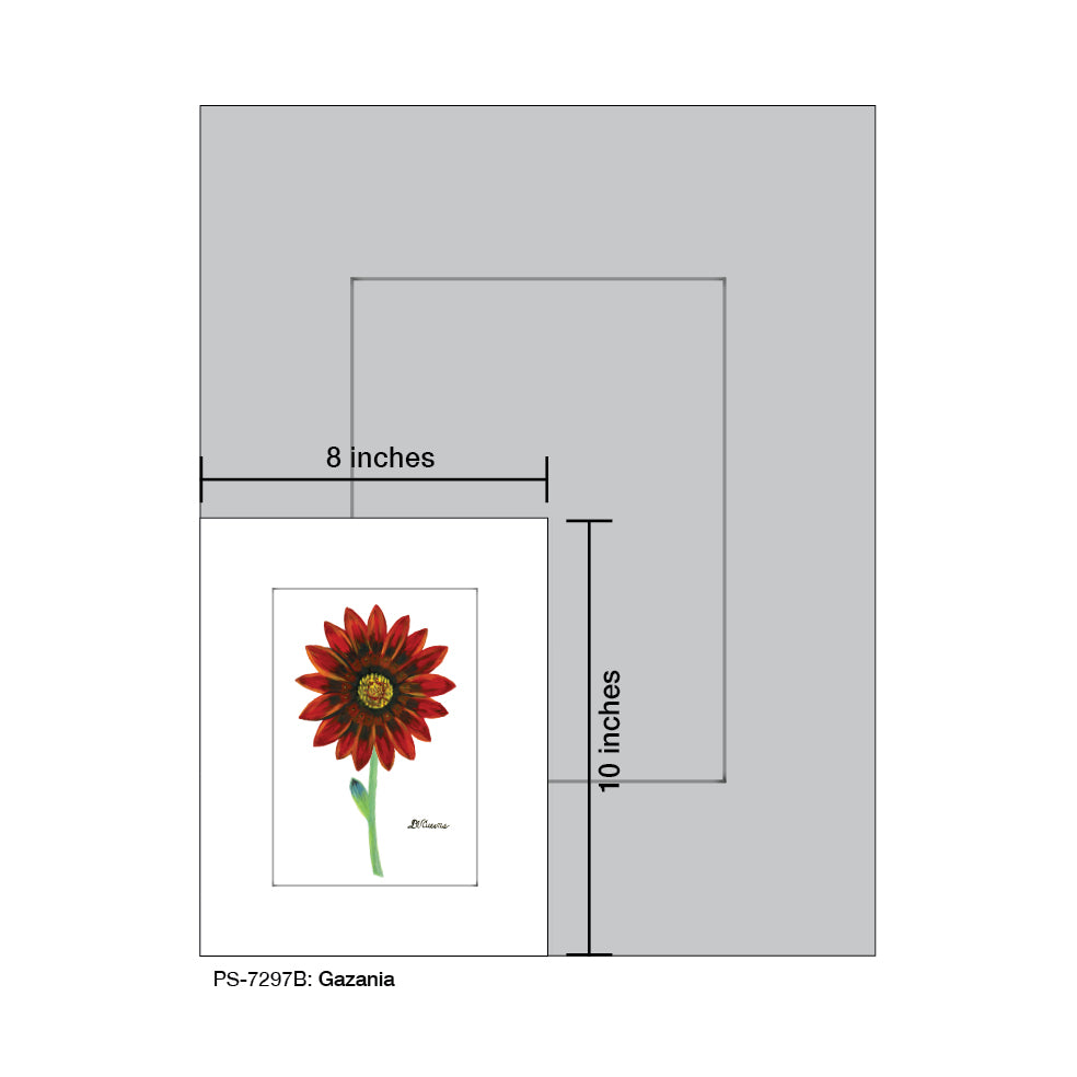 Gazania, Print (#7297B), Print Matted, www.printedcanvas.com