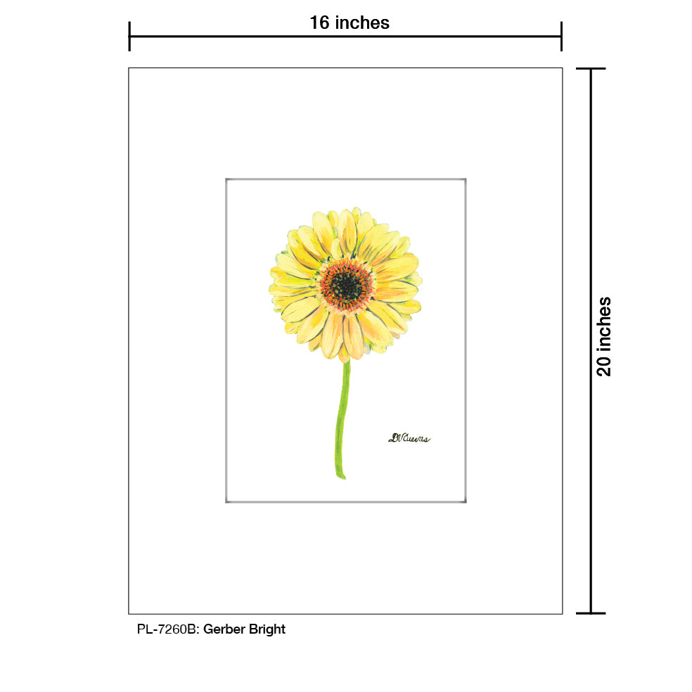 Gerber Bright, Print (#7260B), Printe Matted, www.printedcanvas.com