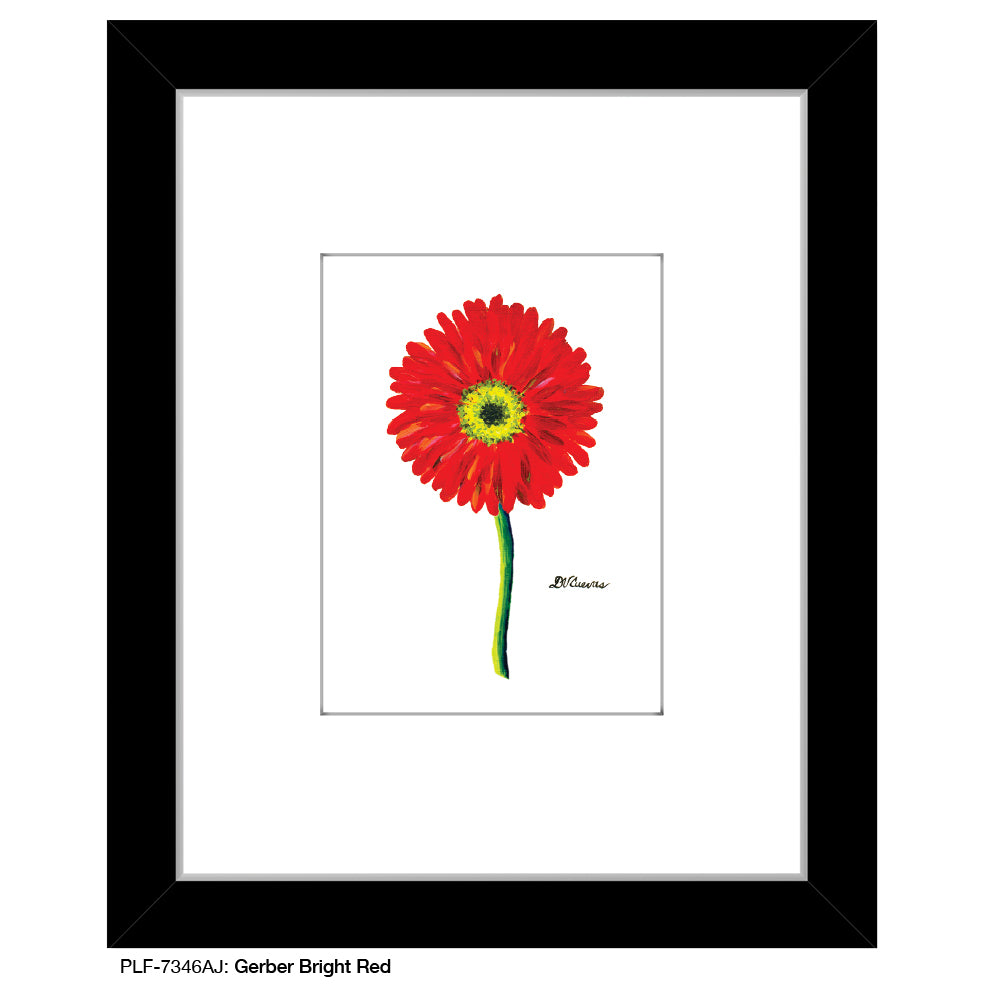 Gerber Bright Red, Print (#7346AJ), Print Matted, www.printedcanvas.com
