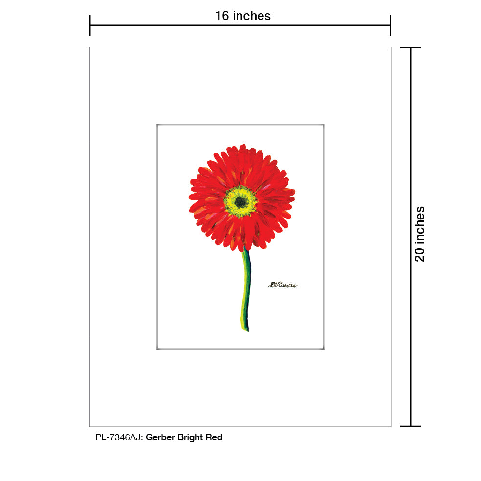 Gerber Bright Red, Print (#7346AJ), Printe Matted, www.printedcanvas.com