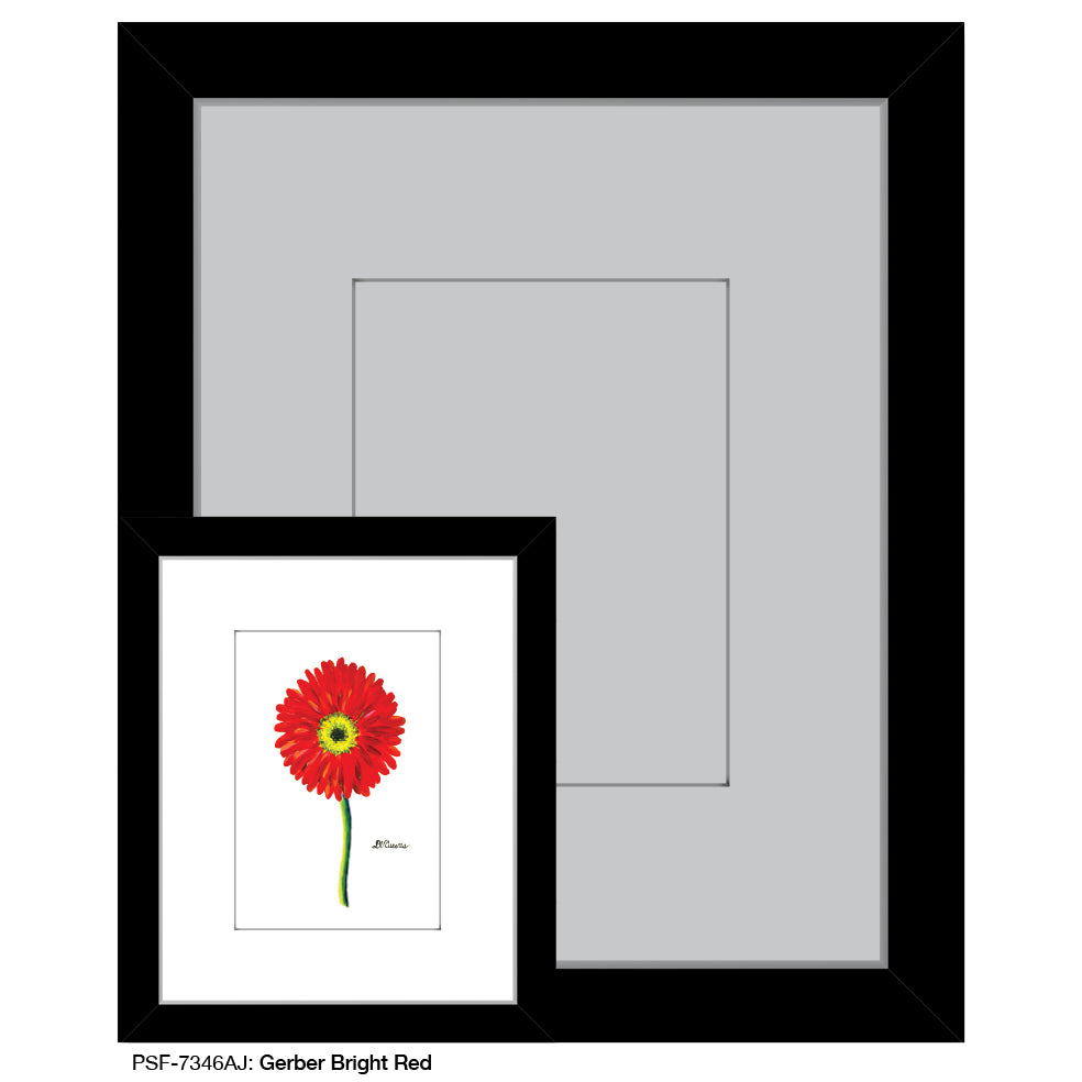 Gerber Bright Red, Print (#7346AJ), Print Matted, www.printedcanvas.com