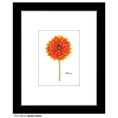 Garden Dahlia, Print (#7301S), Print Matted, www.printedcanvas.com
