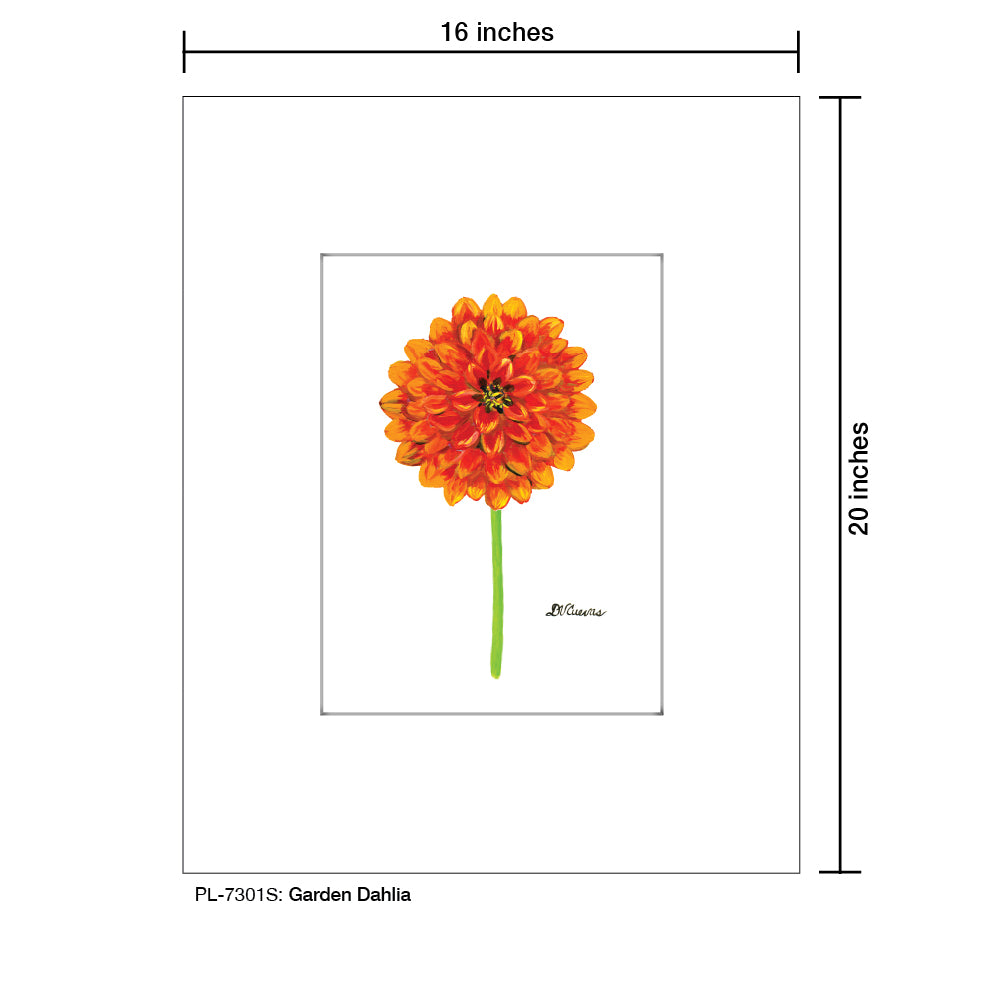 Garden Dahlia, Print (#7301S), Printe Matted, www.printedcanvas.com