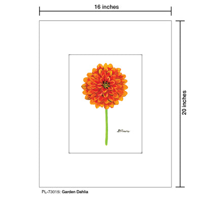 Garden Dahlia, Print (#7301S), Printe Matted, www.printedcanvas.com