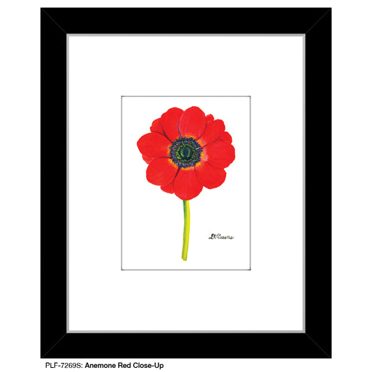 Anemone Red Close-Up, Print (#7269S) - Printed Canvas