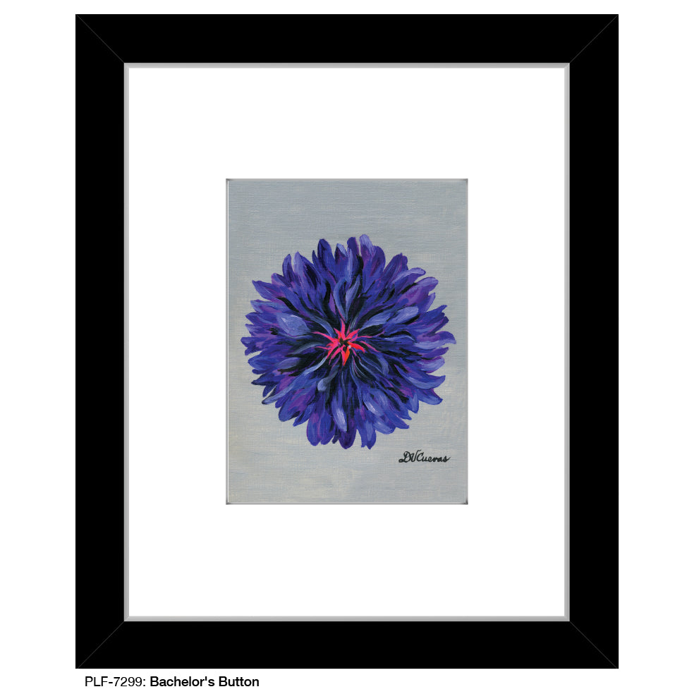 Bachelor's Button, Print (#7299) - Printed Canvas