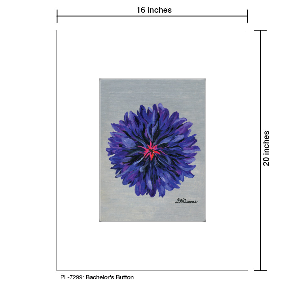 Bachelor's Button, Print (#7299) - Printed Canvas