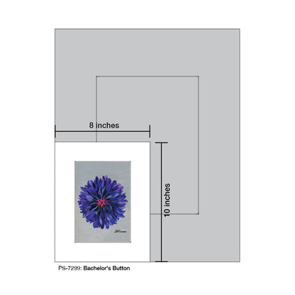 Bachelor's Button, Print (#7299) - Printed Canvas