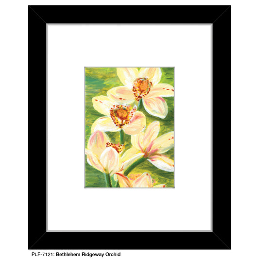 Bethlehem Ridgeway Orchid, Print (#7121) - Printed Canvas