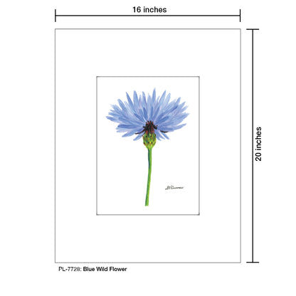 Blue Wild Flower Stem, Print (#7728) - Printed Canvas